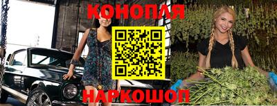 тгк Аргун